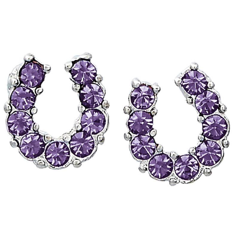 Purple Rhinestone Horseshoe Earrings in Pony Head Gift Box