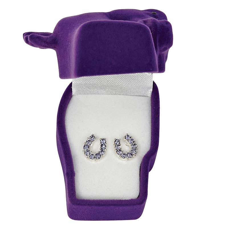 Purple Rhinestone Horseshoe Earrings in Pony Head Gift Box
