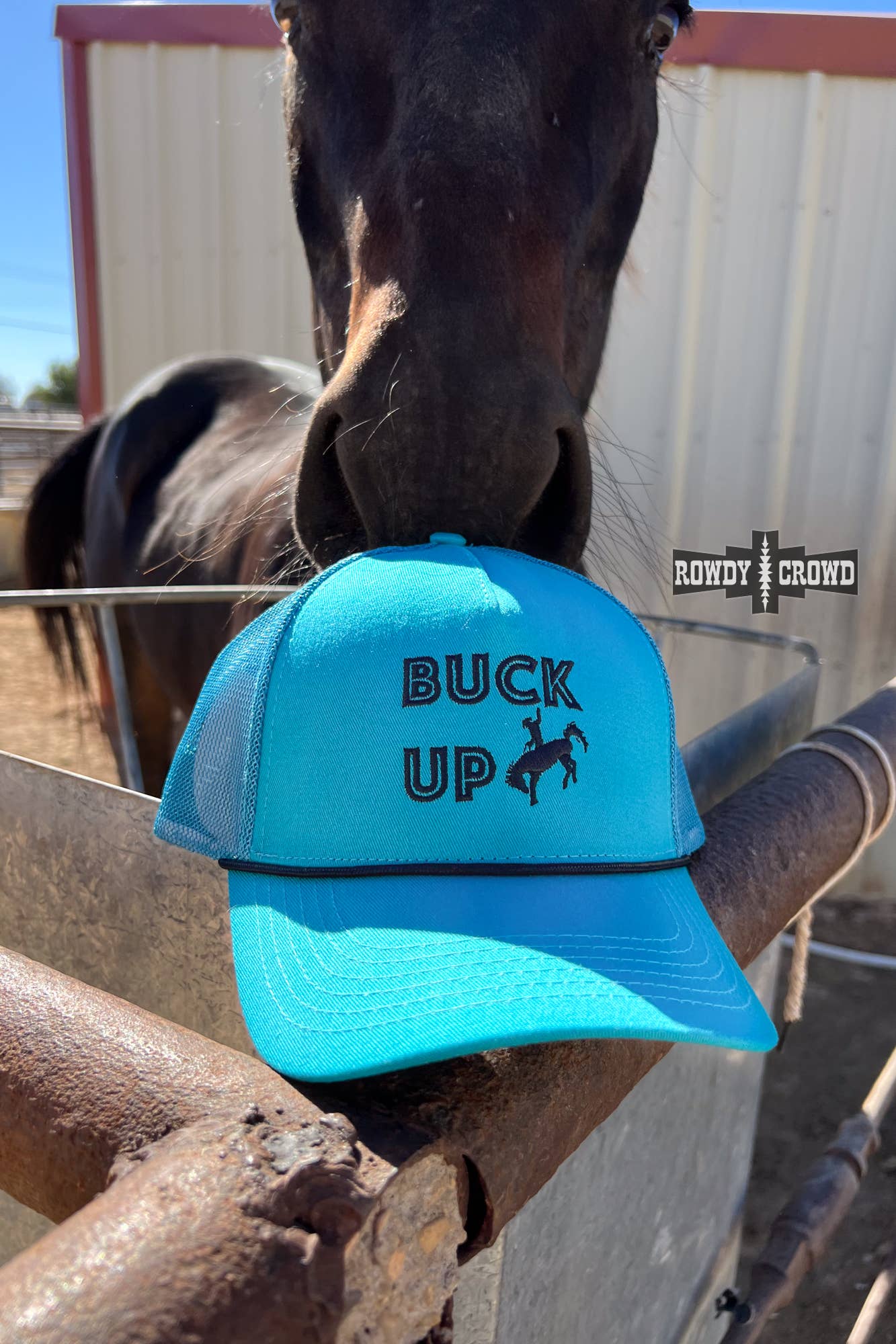 Buck Up Cap on a fence with a horse in the background, showcasing a stylish teal color and embroidered design.