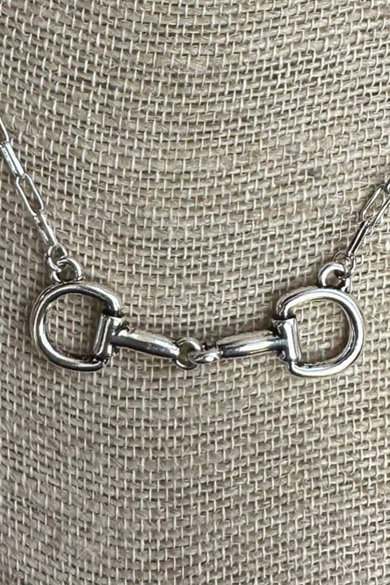 Bridle Line Silvertone Necklace
